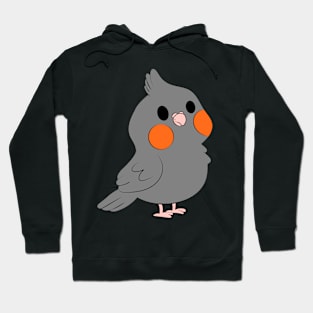 Chubby Grey Female Cockatiel Hoodie